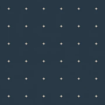 紺地の小さな星