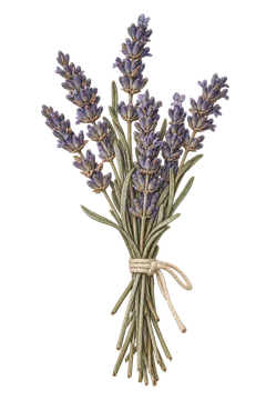 ラベンダーの小さな花束。細かな花や葉の質感を残した、台紙なしの植物装飾素材。