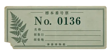 薄暮博物館の標本番号票の昭和レトロな紙もの素材